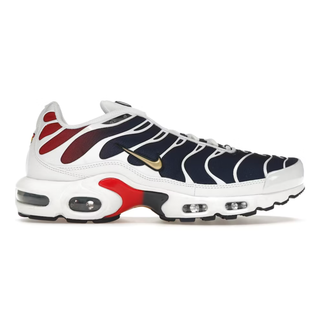 Nike Air Max Plus TN PSG