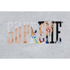 Supreme Tera Patrick Collegiate Tee Ash Grey