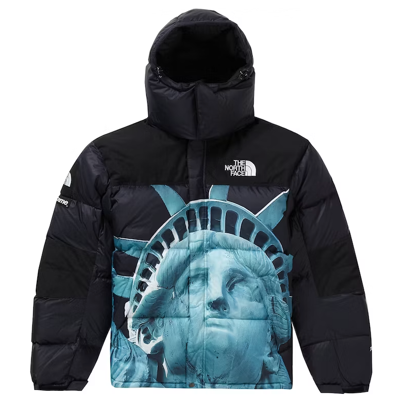 Jacket supreme the north 2025 face