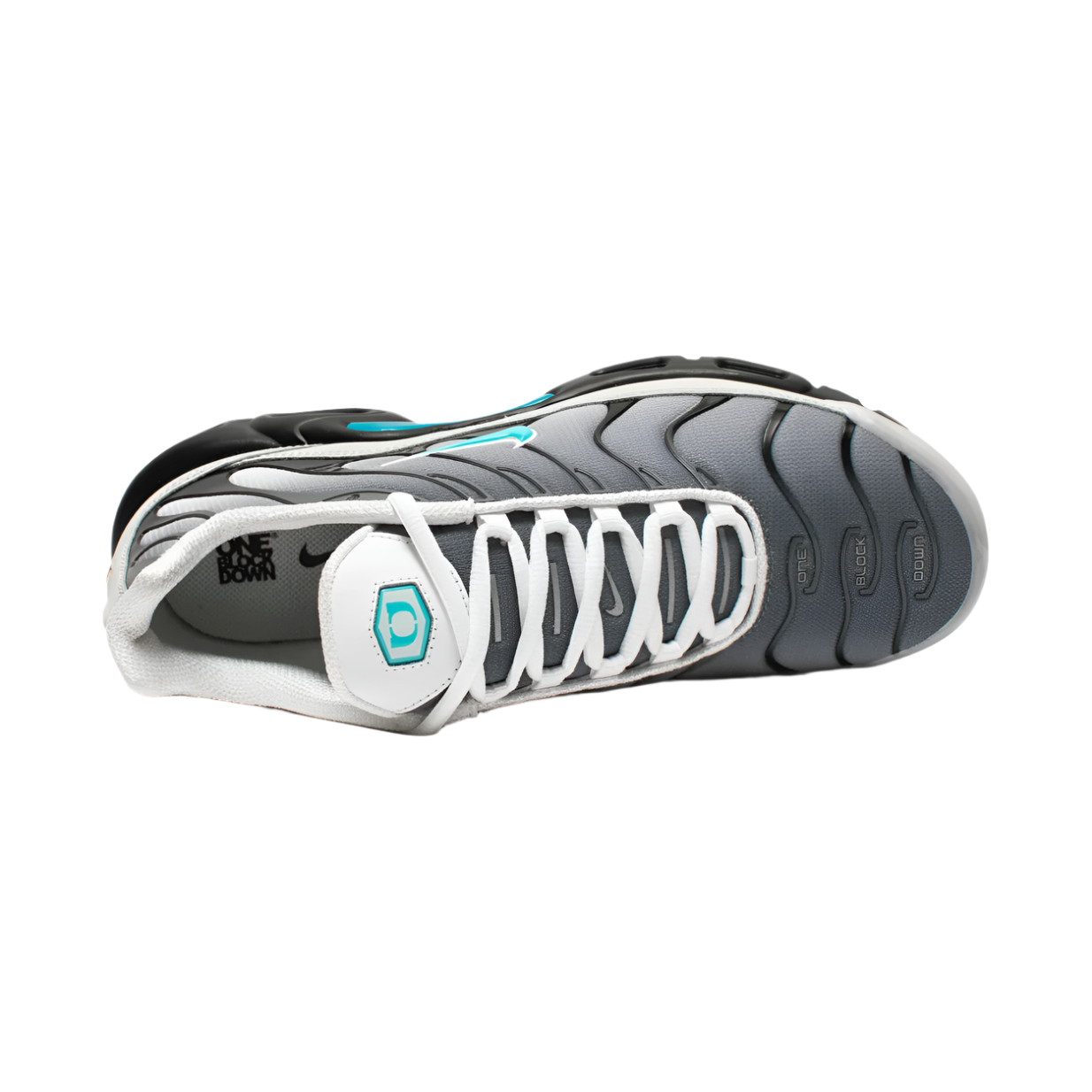 Air Max Plus SP Reverse x One Block Down