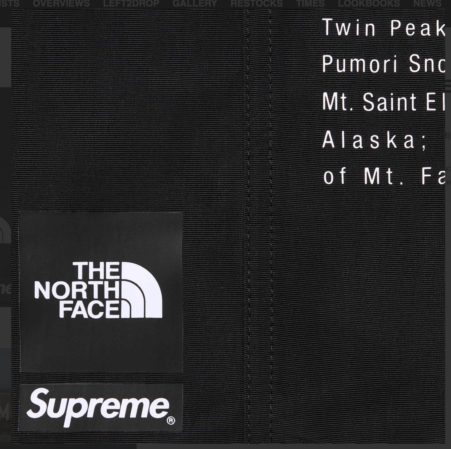 Supreme The North Face Nylon Short Black