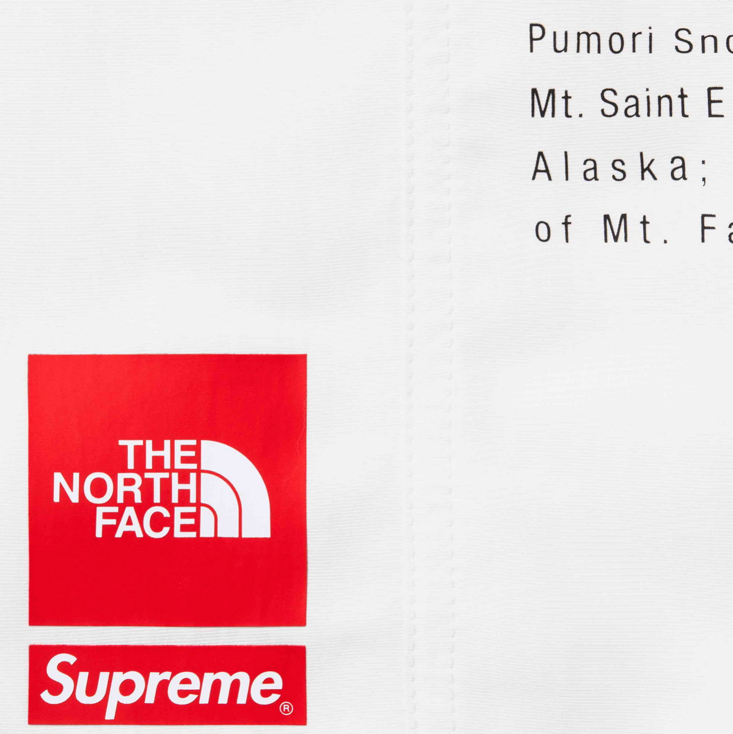 Supreme The North Face Nylon Short White