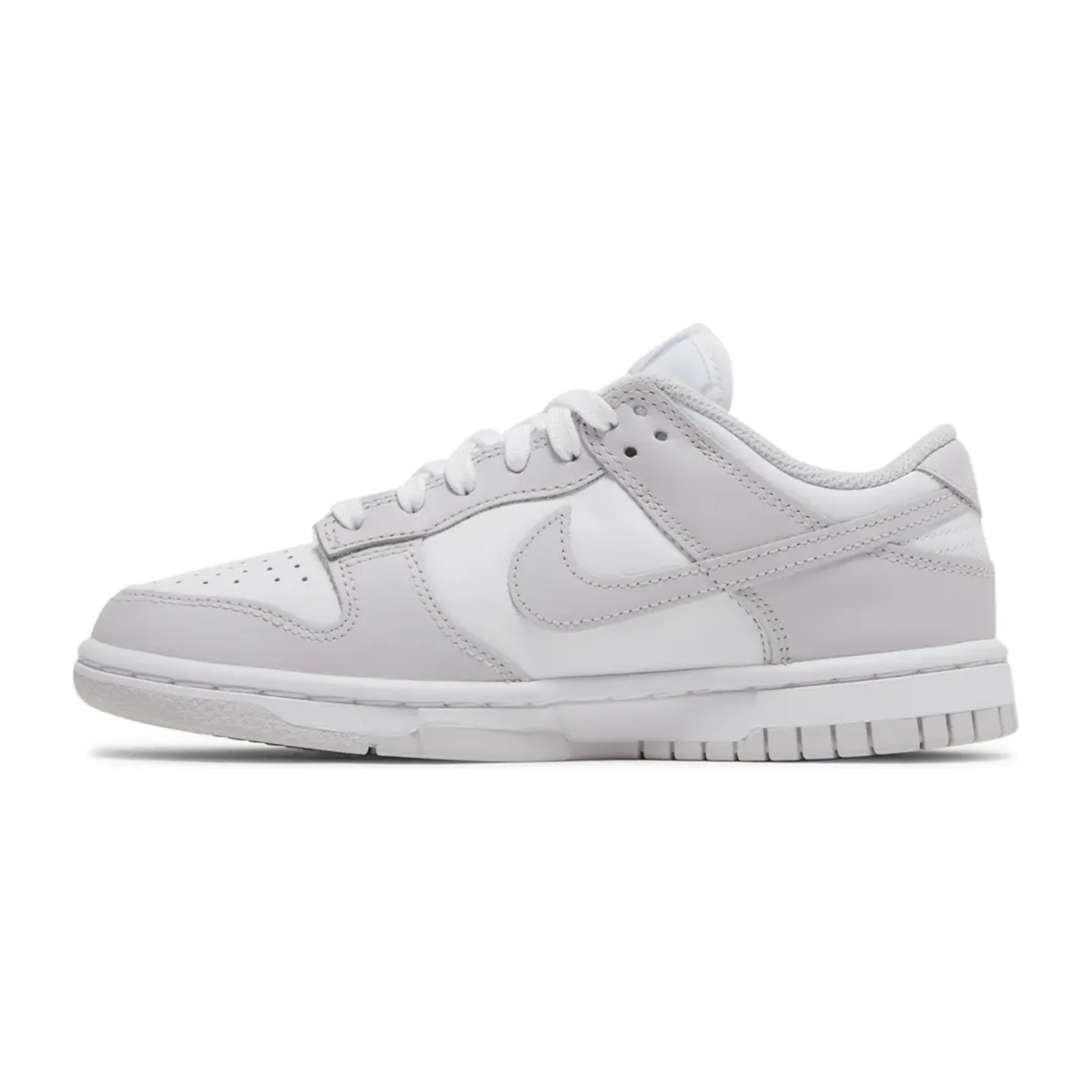 Nike Dunk Low Venice (W)