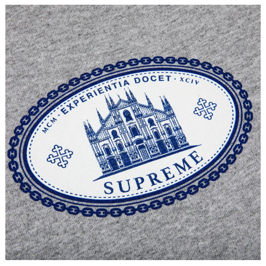 Supreme Experientia Tee Grey
