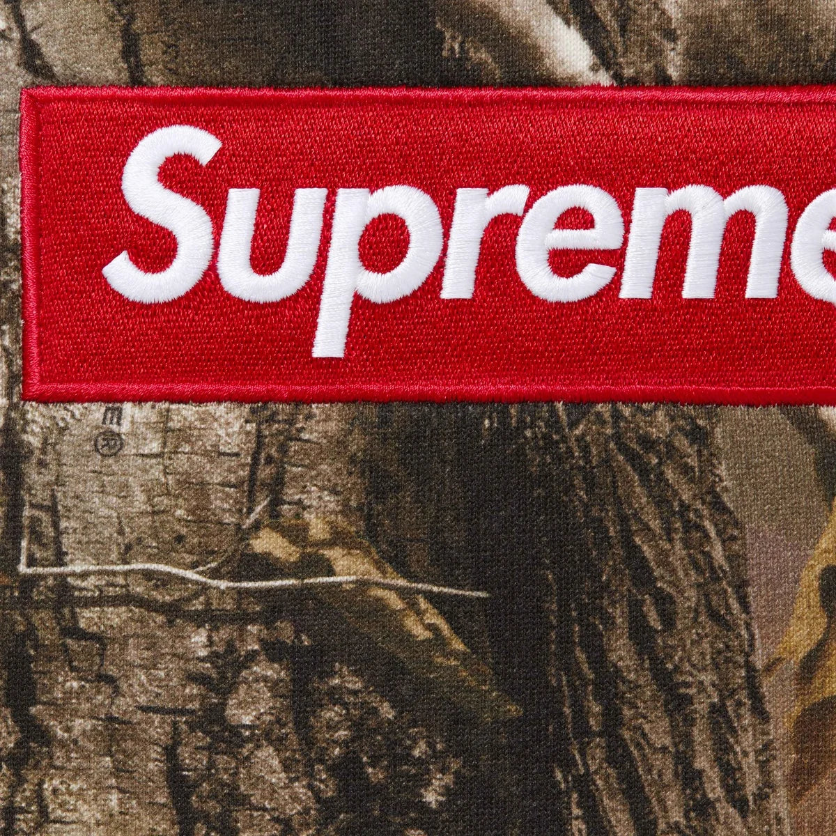 Supreme Box Logo Hooded Sweatshirt Real Tree AP Camo