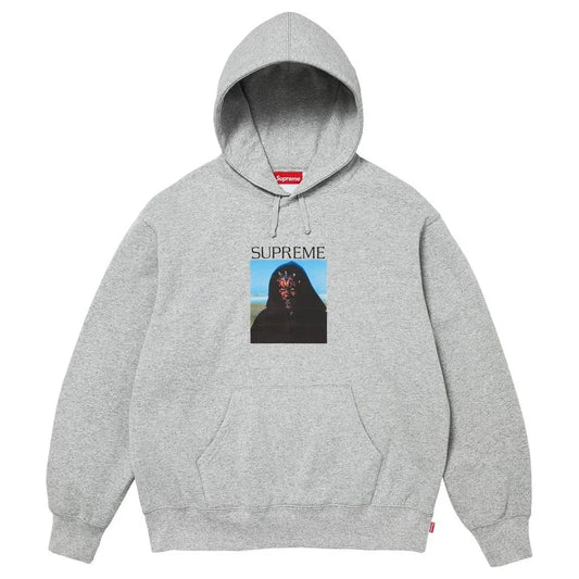 Supreme Sith Hooded Sweatshirt Grey