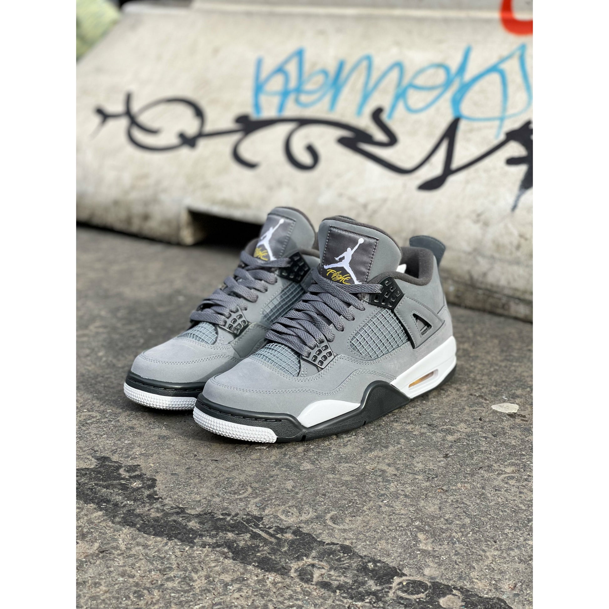 Jordan 4 Retro Cool Grey (2019) by Jordan's from £450.99
