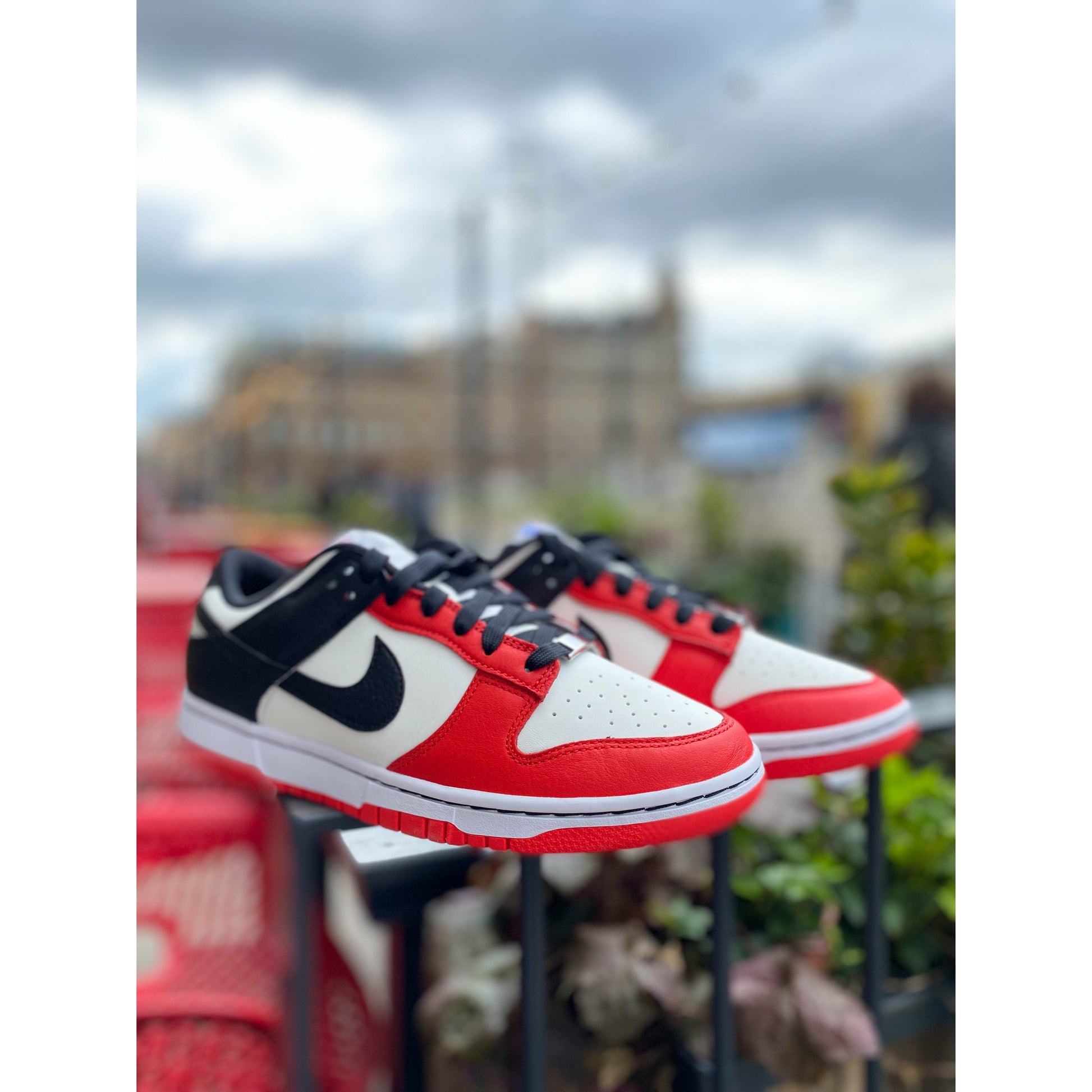 Nike Dunk Low EMB NBA 75th Anniversary Chicago from Nike