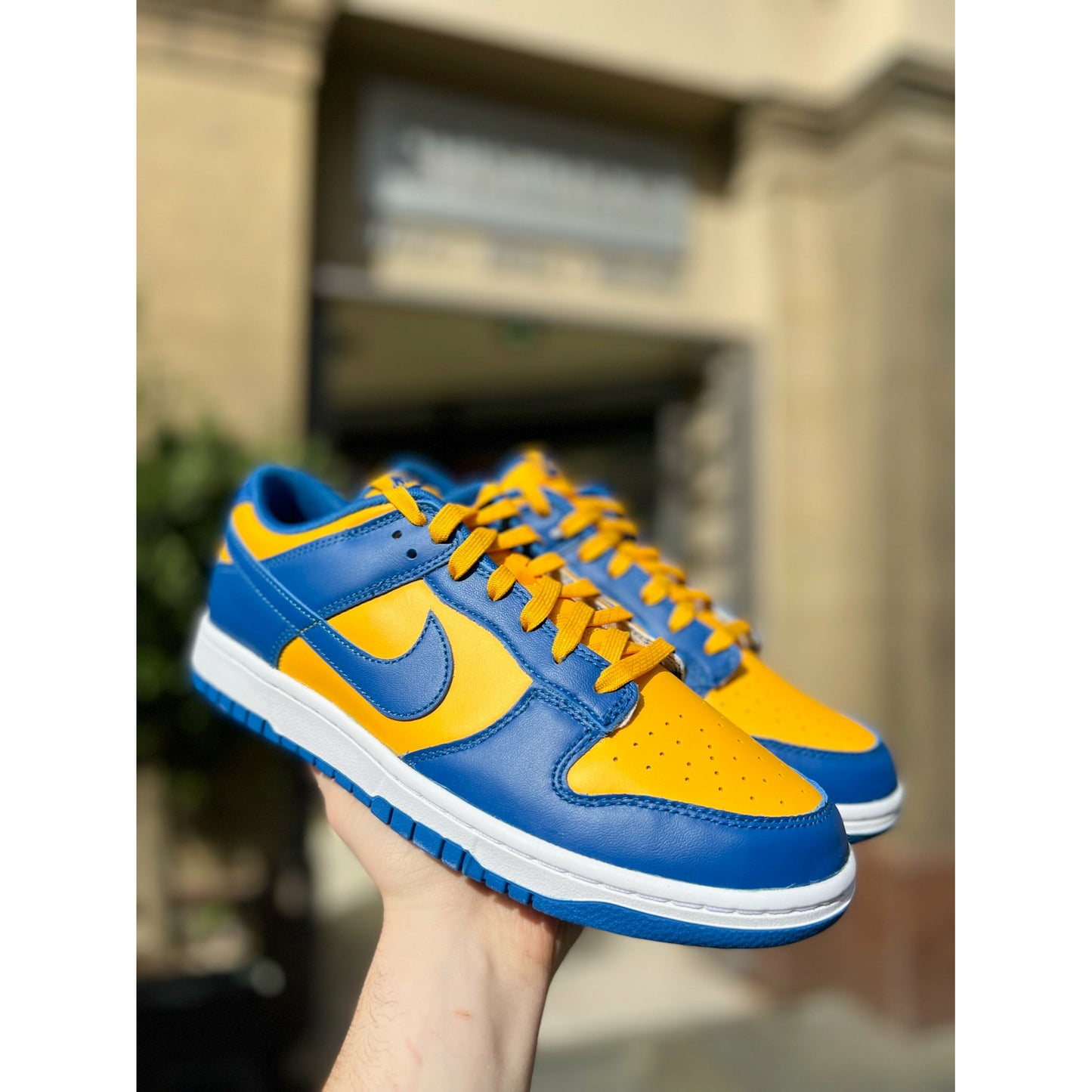 Nike Dunk Low UCLA from Nike